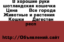 В хорошие руки шотландская кошечка › Цена ­ 7 - Все города Животные и растения » Кошки   . Дагестан респ.
